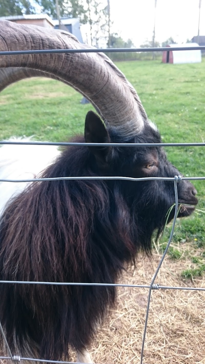 Bill Quay Community Farm