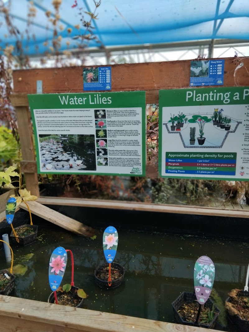 Elm Tree Farm Garden Nursery & Tearoom