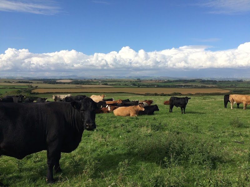 Slade Farm Organics Farm Shop