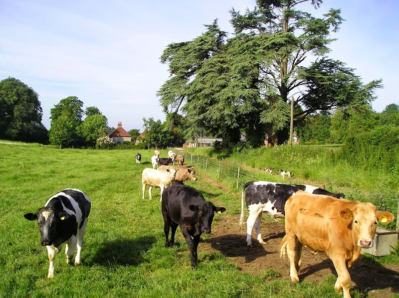 Adsdean Farm Shop