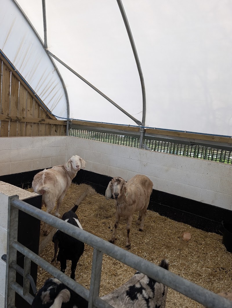 None Go Bye Farm