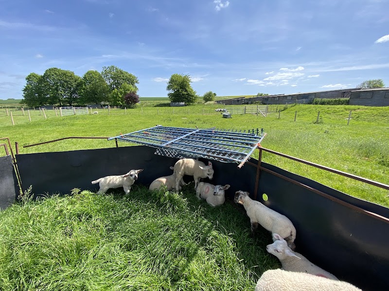 The Piggery Farm Shop