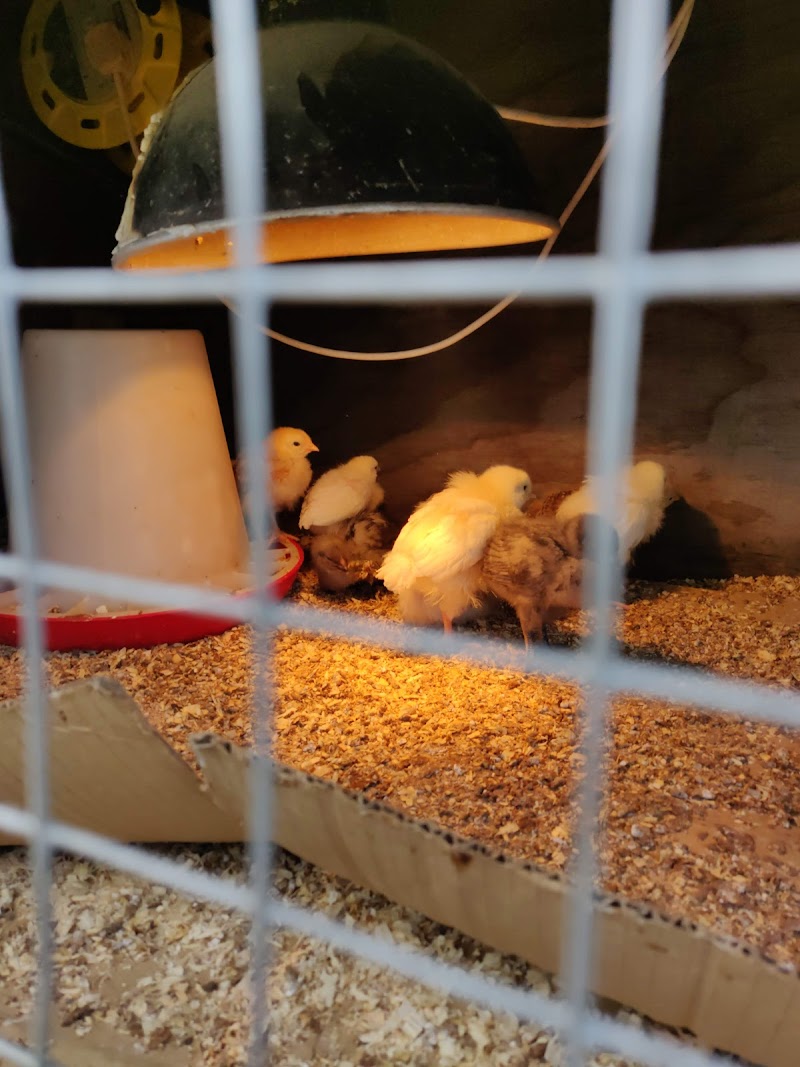 Top Barn Farm Shop