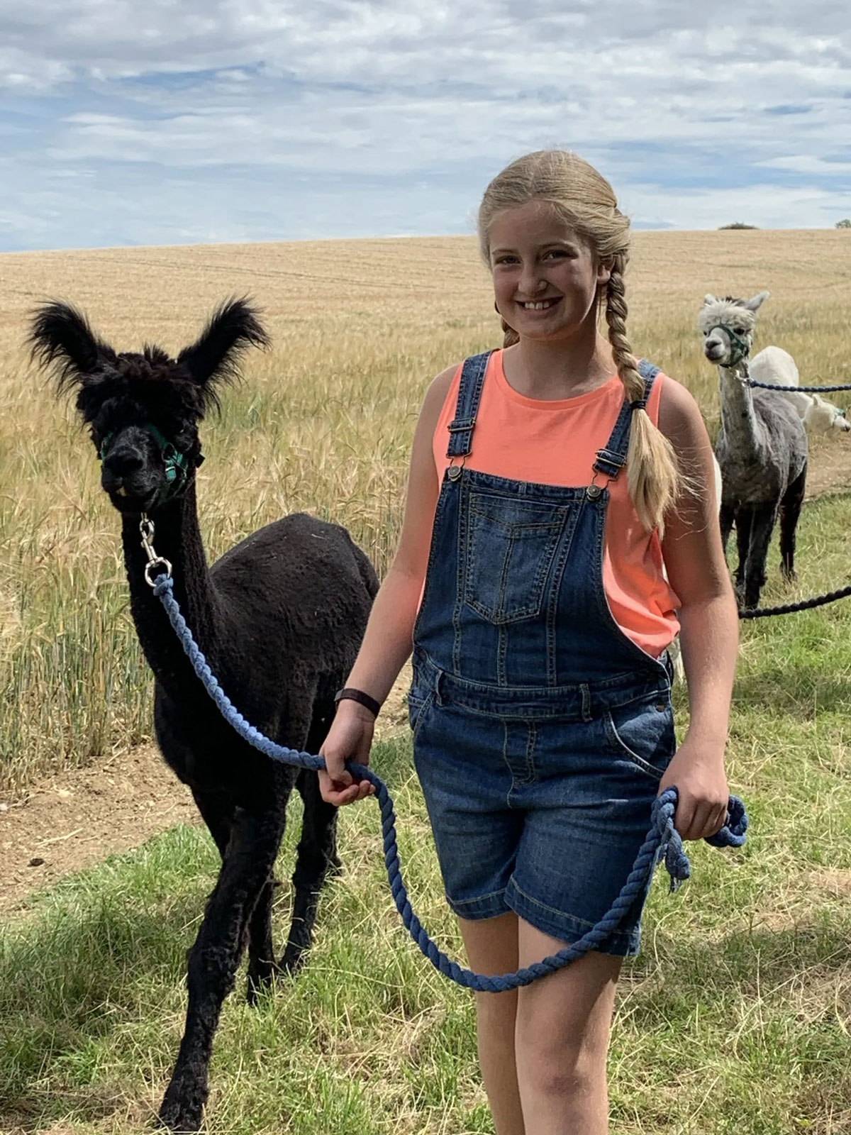 Hilly Ridge Alpacas
