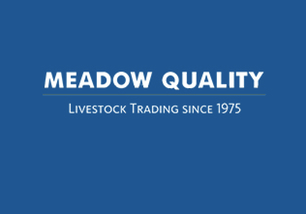 Meadow Quality Ltd