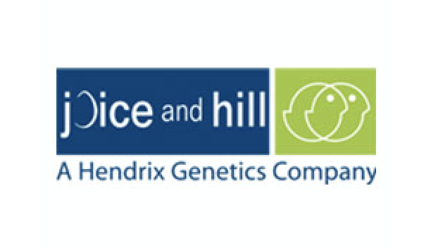 Joice and Hill Poultry Ltd