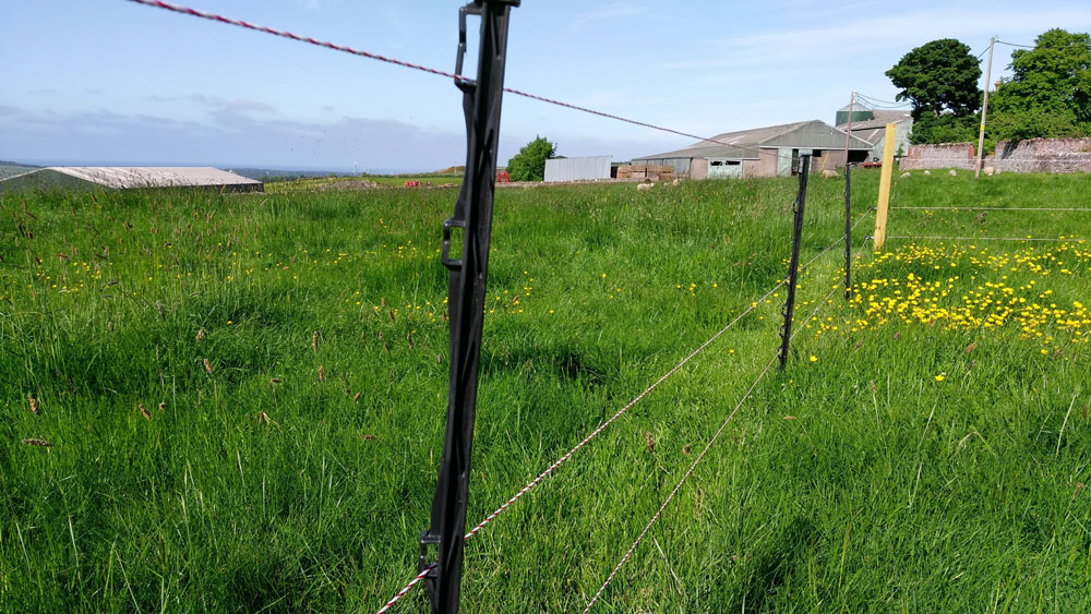 Electric Fencing Direct