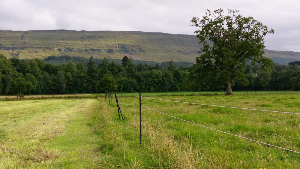 Electric Fencing Direct