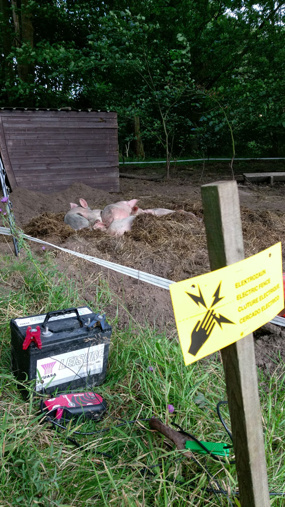 Electric Fencing Direct