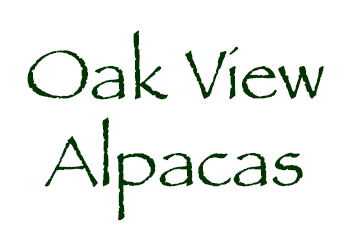 Oak View Alpacas