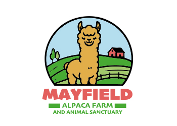 Mayfield Alpacas
