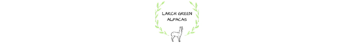 Larch Green Alpacas