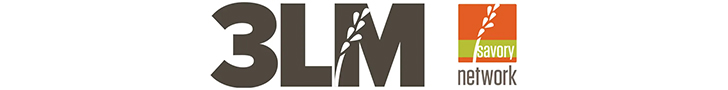 3LM