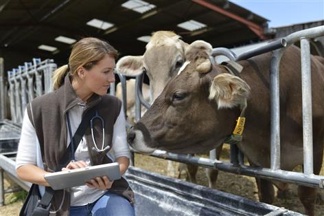 General election: British vet lobbying secures wins for animal health and welfare British vets have lobbied Government to guarantee working rights for non-British EU vets