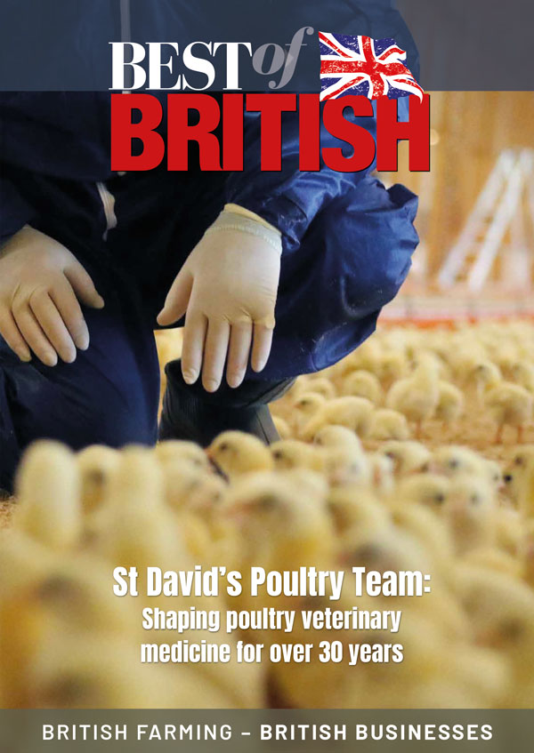 St Davids Poultry Team