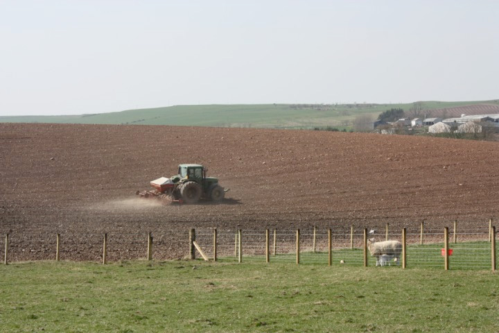 Anniston Farm_1 Anniston Farm_1
