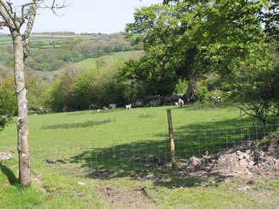 Fyfett Farm_1 Fyfett Farm_1