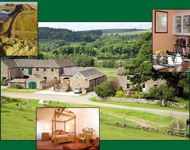 Farming UK Wydon Farm Northumberland Farm Rentals B&B