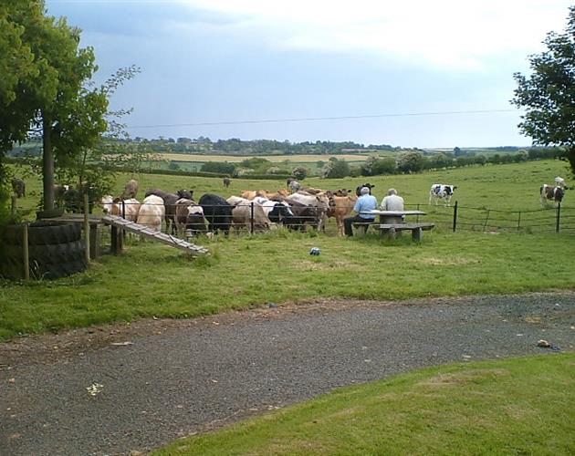 Farming UK Broome Park Farm B&B Shropshire Farm Rentals B&B