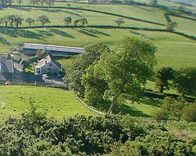Farming UK Alltyfyrddin Carmarthenshire Farm Rentals B&B