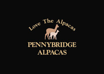 Pennybridge Alpacas