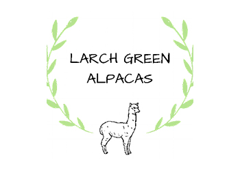 Larch Green Alpacas