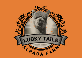 Lucky Tails Alpacas
