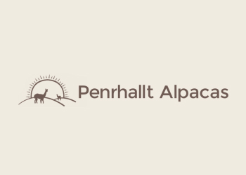 Penrhallt Alpacas