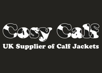 Cosy Calf