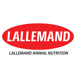 Lallemand Animal Nutrition UK Ltd