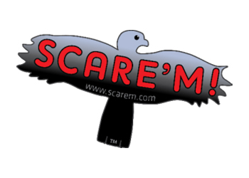 Scarem