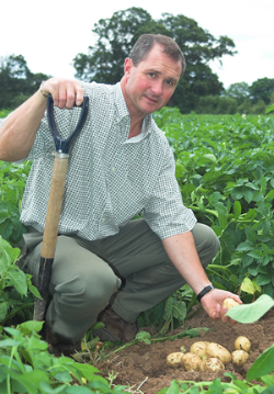 Big crop activity prevents potato harvest delays Big crop activity prevents potato harvest delays