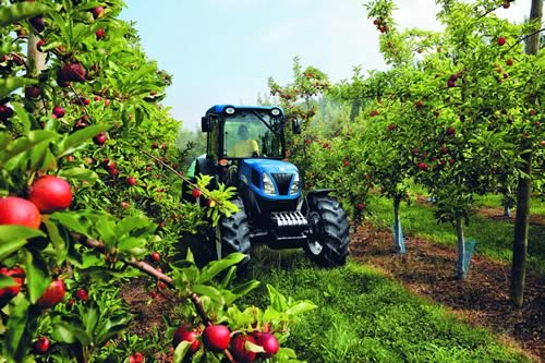 New Holland joins forces with the Beekeepers to save the bees New Holland joins forces with the Beekeepers to save the bees