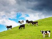 Bright ideas to attract bright young people into farming AHDB is shining a spotlight on the opportunities available to attract young talent