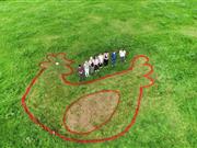 'Eggstra' large red hen hatches at Devon charity Hundreds of people have signed up to hold a Free Range Friday today