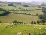 Rural Development Programme 'must speed up' to deliver 'real, tangible benefits' for Welsh farmers, NFU Cymru says Wales Rural Development Programme 'must deliver' for rural Wales, the NFU Cymru has said