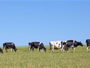 Arla announces October price rise by 1.6ppl Arla announces October price rise