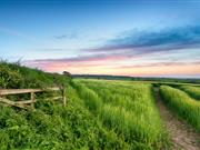 Less than a week to go until environment-focused Countryside Stewardship deadline Countryside Stewardship provides financial incentives for land managers to look after their environment