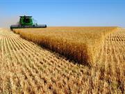 Costs and benefits of precision technologies 'poorly understood', new review says "Precision agriculture can help increase yields, reduce costs or do both at the same time"