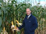 Attention to detail can add value to maize silage, says experts Wynnstay Group is the third largest producer of cereal seed in the UK (Photo: Dr Simon Pope)