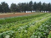 Welsh government announces Glastir Organic payments for farmers "There are clear opportunities for organic farming – the organic market is in the fourth year of sustained growth"