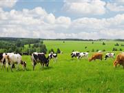 Trade and marketing focus for AHDB Beef & Lamb seminar Questions over beef and lamb in a post brexit Britain will be addressed