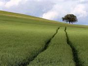 'Fails to deliver enough public benefit': Greens campaign to end single payment scheme The Greens are calling for a farming support policy which improves soil fertility, protects and encourages biodiversity