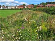 Residents in urban settlements can play 'major role' in ensuring pollinators survive An example of an urban pollinator project in Leeds, West Yorkshire