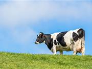 Müller confirms November milk price increase of 1.5ppl November milk price increase confirmed by Müller