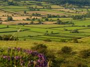 Leading conservation organisations make the case for fundamental reform of agricultural policy The organisations are emphasising the need for a countryside for food, wildlife and people