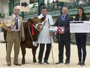 James May with his eight-month- old Limousin cross heifer, Tinkerbell