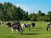 Muller said their supply base has increased and the proposals seek to represent the increased membership