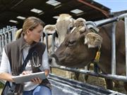 General election: British vet lobbying secures wins for animal health and welfare General election: British vet lobbying secures wins for animal health and welfare