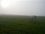 Researchers shine new light on important chapter of British farming Researchers shine new light on important chapter of British farming